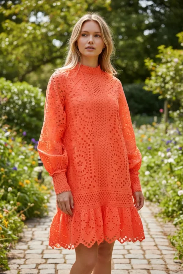 Embroidery short dress